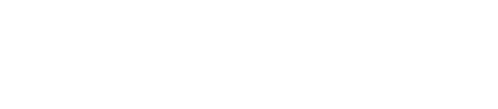 Logo Rondson